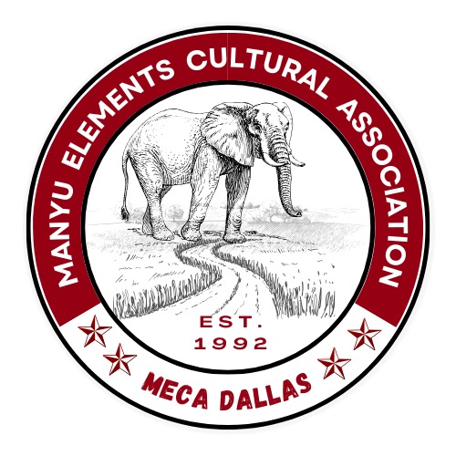 MECA Dallas logo