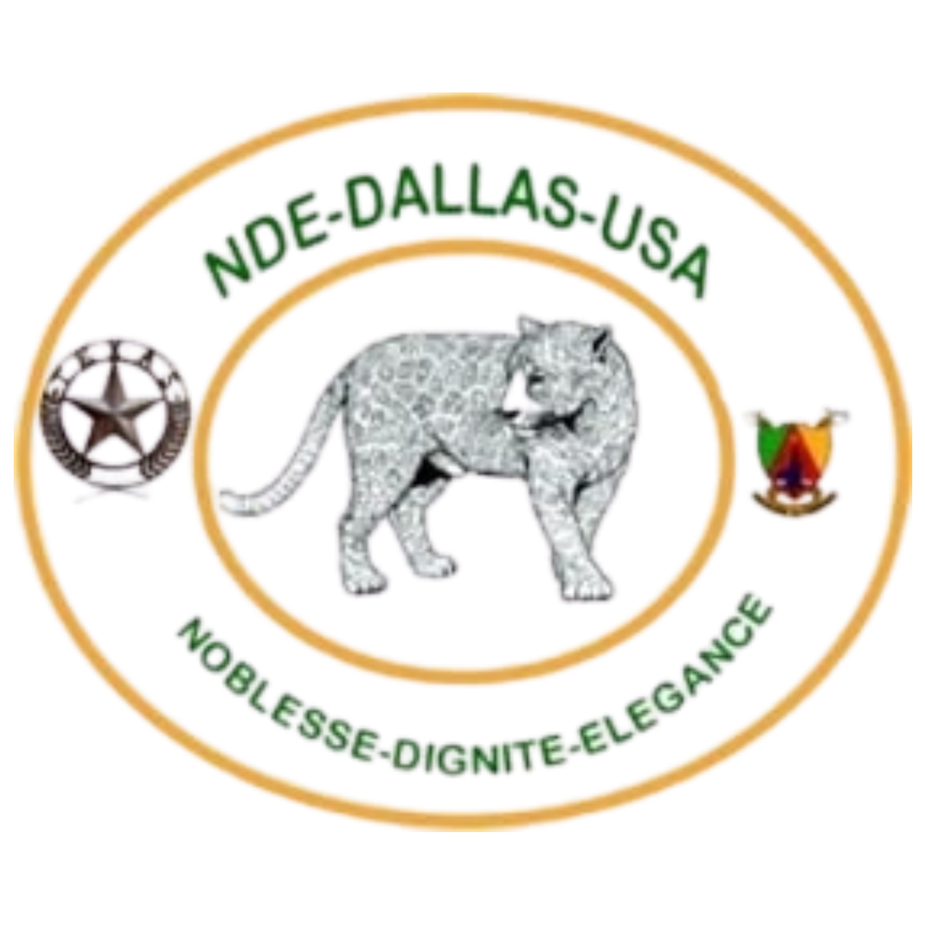NDE Dallas / Fort Worth logo